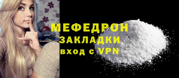 сатива Новозыбков