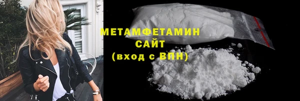 сатива Новозыбков