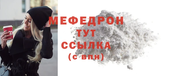сатива Новозыбков