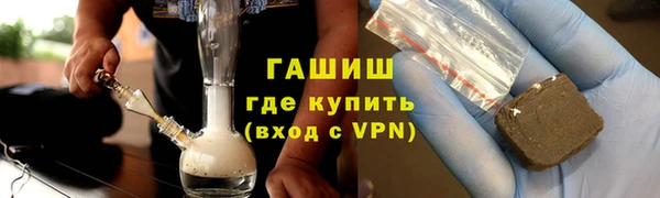 сатива Новозыбков