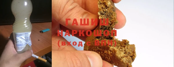 сатива Новозыбков