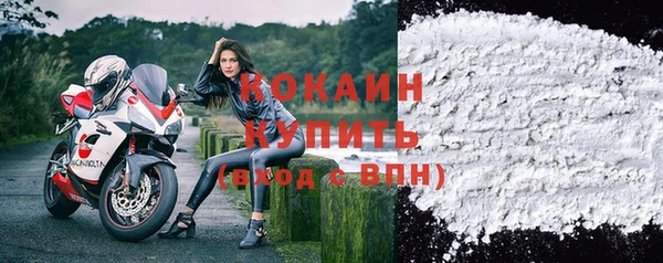 молекула духа Няндома
