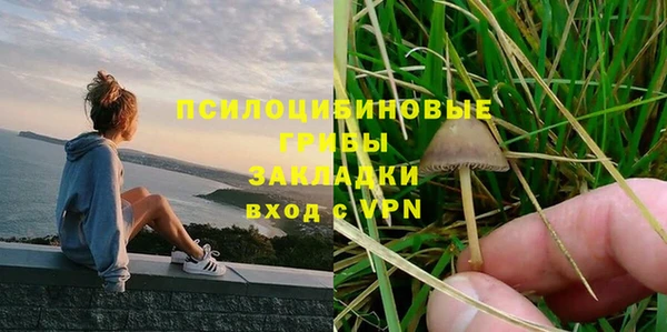 таблы Новодвинск