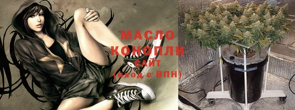 сатива Новозыбков