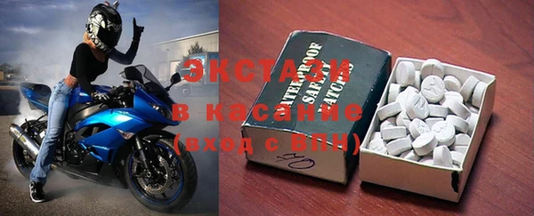 сатива Новозыбков