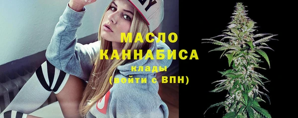 молекула духа Няндома