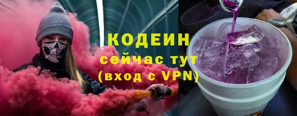 молекула духа Няндома