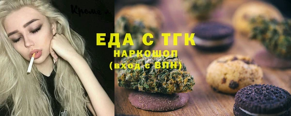 сатива Новозыбков
